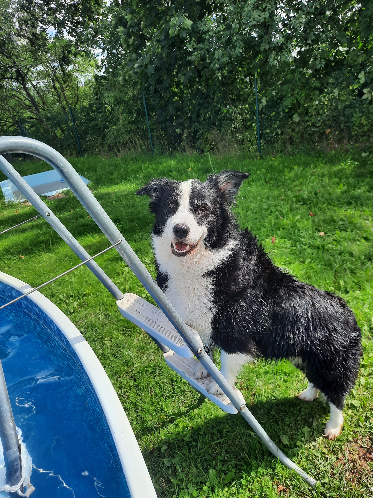 Amelie ze Sněžné stráně