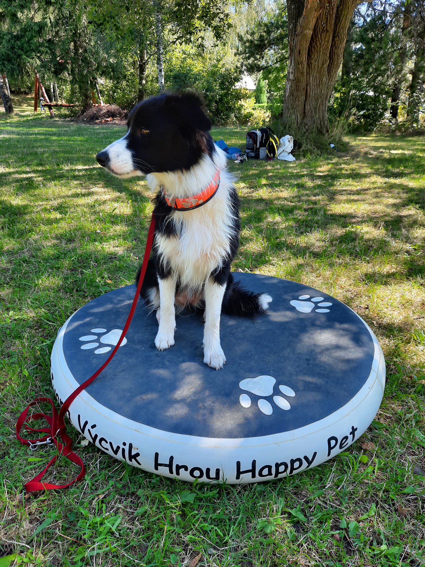 Belle ze Sněžné stráně